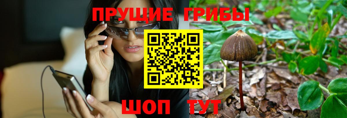 Чернушка  наркошоп  Вход с VPN  Галлюциногенные грибы ЛСД 